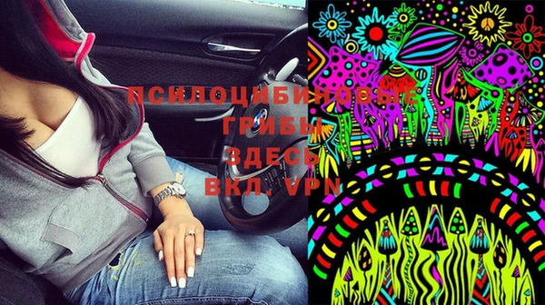 ECSTASY Михайловск