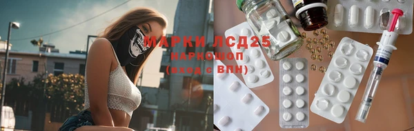 ECSTASY Михайловск